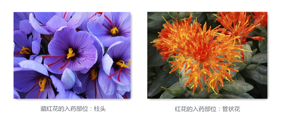 一百块的红花和数十万的藏红花,傻傻分不清?法院:卖家退一赔三